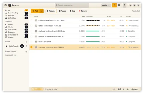 Download list with active segmented transfers
