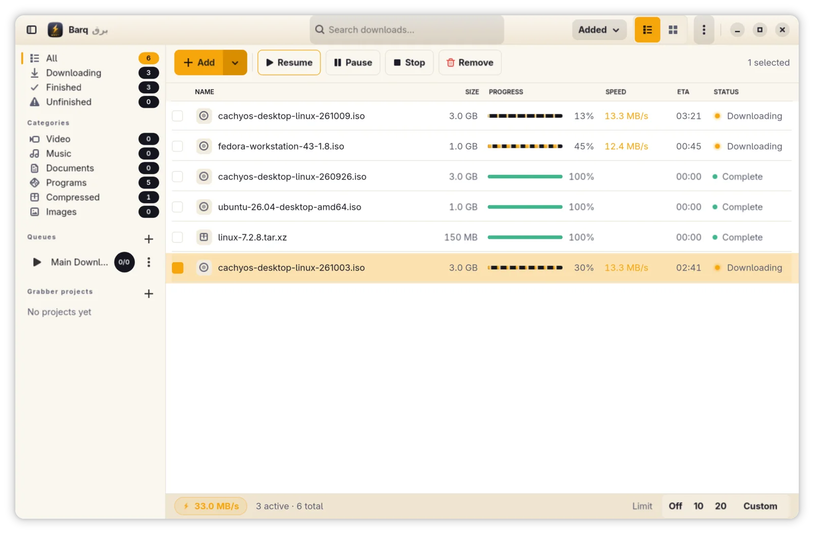 Download list with active segmented transfers